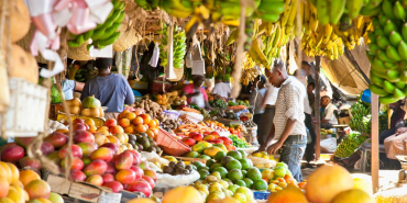 Kenya Warns of Cholera, Typhoid and Aflatoxin Risks Ahead of El Niño Rains