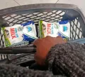 Kenya Faces Milk Shortage as Drought Cuts Dairy Production