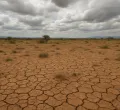 Kenya: 1 in 10 Kenyan Learners Had Schooling Disrupted By Climate Hazards in 2025 - Unicef
