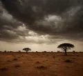 U.S. Senators Urge UN to Impose Sanctions on Sudan Amid Ongoing Conflict