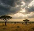 South Sudan's Kiir Dissolves Transitional Government