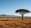 Murkomen Commits to Eradicating Banditry in Kenya