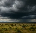 Kenyans Urged to Follow Official Weather Advisories as El Niño Approaches