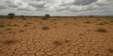 Kenya: 1 in 10 Kenyan Learners Had Schooling Disrupted By Climate Hazards in 2025 - Unicef
