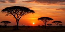 Surge in Erectile Dysfunction Cases Among Young Men in Kenya Raises Health Concerns