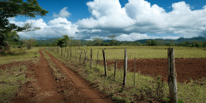 When a Title Deed Is No Longer Enough to Protect Your Land in Kenya
